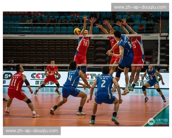 穿越网口的光影:一部排球纪录片,与你一起触碰热血与温度 穿越网口的光影:一部排球纪录片,与你一起触碰热血与温度