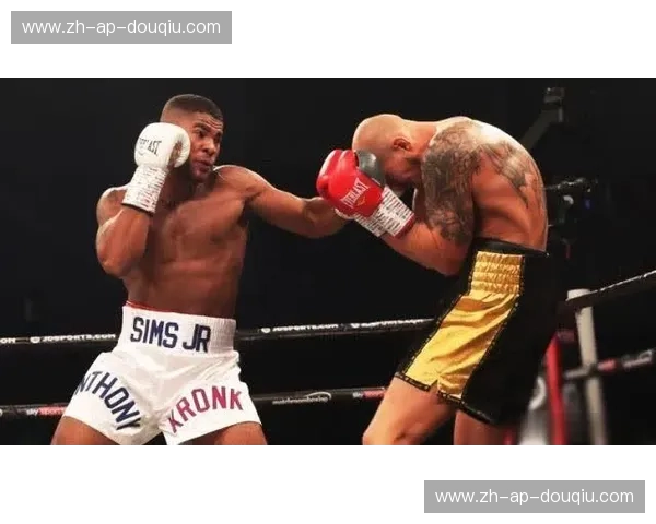 拳坛巅峰对决：加西亚vs马特西，那场被低估的“重炮手”黄昏与战术大师的加冕礼